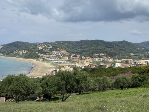die Olivenhaine von Agios San Stefanos